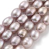 Natural Cultured Freshwater Pearl Beads Strands PEAR-P062-08J-2
