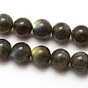 Grade AA Natural Gemstone Labradorite Round Beads Strands G-E251-33-8mm-2