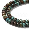 Natural Turquoise Beads Strands G-P506-03C-04-3