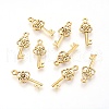 Tibetan Style Alloy Pendant GLF8363Y-1