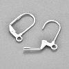 304 Stainless Steel Earrings STAS-P166-11S-2