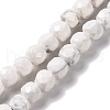 Natural Howlite Beads Strands G-G001-B02-06-1