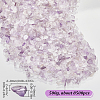 SOFPLATE 500G Natural Amethyst Chip Beads G-SP0001-09-2