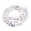 Natural Trochid Shell/Trochus Shell Beads Strands SSHEL-N032-49-A02-3