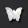 Natural White Shell Beads BSHE-G031-04-3