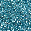 Glass Seed Beads X1-SEED-S042-04A-13-3