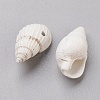 Spiral Shell Beads BSHE-L037-03-2