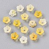 Frosted Transparent Acrylic Beads X-OACR-N137-72G-2