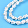 Natural Cultured Freshwater Pearl Beads Strands PEAR-N012-02N-01-4