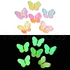Luminous Translucent Resin Decoden Cabochons RESI-M041-06-1