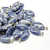 Horse Eye Natural Blue Spot Jasper Pendants G-Q363-16-1