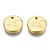 316 Surgical Stainless Steel Charms STAS-S116-418H-G-2