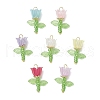Acrylic Beads & Plastic Imitation Pearl Beads & Japanese Seed Beads Pendants PALLOY-JF03826-02-1