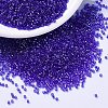 MIYUKI Delica Beads X-SEED-J020-DB1896-1