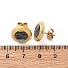 304 Stainless Steel Natural Paua Shell Stud Earrings EJEW-Z103-04G-01-5