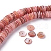 Natural Freshwater Shell Beads Strands X-BSHE-I016-04E-4