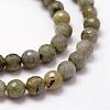 Faceted Natural Labradorite Beads Strands G-F364-17-6mm-3