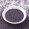 MIYUKI Round Rocailles Beads SEED-X0054-RR1013-2