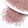 Glass Seed Beads X1-SEED-S042-04A-04-1