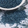 MIYUKI Delica Beads SEED-J020-DB2384-1