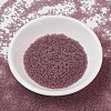 MIYUKI Delica Beads SEED-X0054-DB0765-2