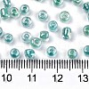 6/0 Glass Seed Beads X1-SEED-A016-4mm-216-3