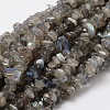 Natural Labradorite Chip Bead Strands L-G-M298-06-1