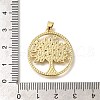 Rack Plating Brass with Cubic Zirconia Pendants KK-Z086-11G-01-3