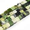 Natural Serpentine Beads Strands G-T140-36A-4