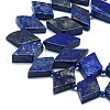 Natural Lapis Lazuli Beads Strands G-K245-E05-A01-3