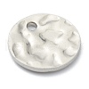Tarnish Resistant 304 Stainless Steel Charms STAS-H157-03C-P-3