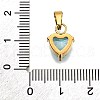 304 Stainless Steel Micro Pave Cubic Zirconia Pendants STAS-B086-13G-03-3