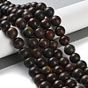 Natural Polychrome Jasper/Picasso Stone/Picasso Jasper Beads Strands G-C160-01-10mm-2
