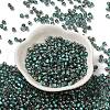 Transparent Inside Colours Glass Seed Beads SEED-H002-A-C222-2