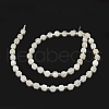 Grade A Natural White Moonstone Beads Strands G-O201B-40-2