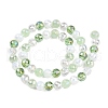 Transparent Glass Beads Strands GLAA-T023-31C-2