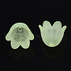 Transparent Acrylic Bead Caps FACR-N005-002B-3