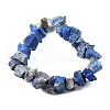 Natural Lapis Lazuli Beads Strands G-I283-F21-3