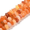 Natural Orange Botswana Agate Beads Strands G-N327-05-19-2