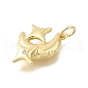 Brass Micro Pave Cubic Zirconia Pendants KK-U072-16G-2
