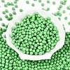 Opaque Baking Painted Glass Beads DGLA-T004-02P-1