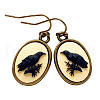 Alloy Acrylic Dangle Earrings FS-WGA17FA-01-4