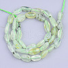 Natural Prehnite Beads Strands G-S359-168-2
