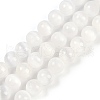 Natural Selenite Beads Strands G-G167-A01-01-1