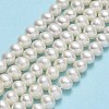 Natural Cultured Freshwater Pearl Beads Strands PEAR-F018-19-01-2