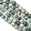 Natural Tree Agate Round Gemstone Beads Strands G-R255-10mm-3