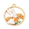 Alloy Enamel Pendants FIND-M060-25A-G01-1