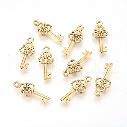 Tibetan Style Alloy Pendant GLF8363Y-1
