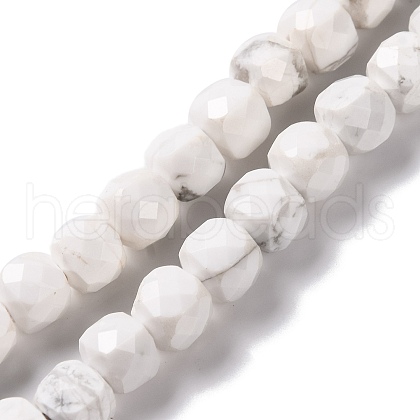 Natural Howlite Beads Strands G-G001-B02-06-1