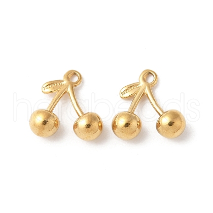 304 Stainless Steel Charms STAS-Z133-01G-1